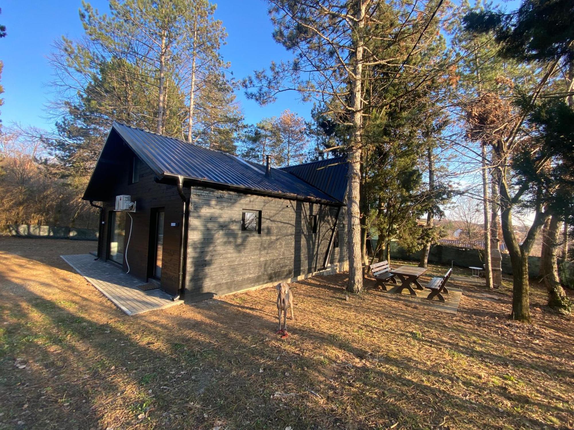 Kuca Za Odmor Vrdnik Villa Exterior photo